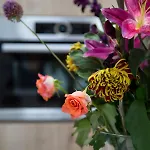 De Verloren Sinjoor 4* Bladel