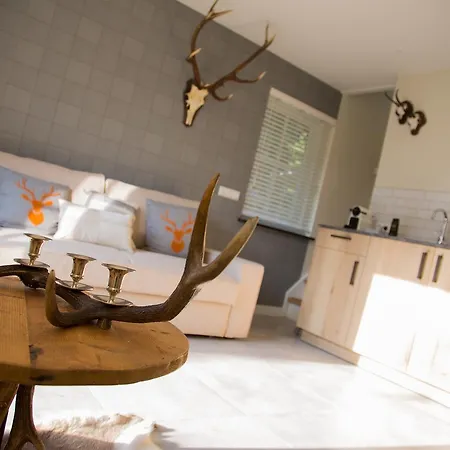 De Verloren Sinjoor Bed and Breakfast Bladel