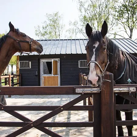 לינה וארוחת בוקר De Verloren Sinjoor Bladel