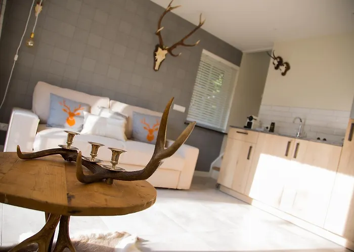 De Verloren Sinjoor Bed & Breakfast Bladel