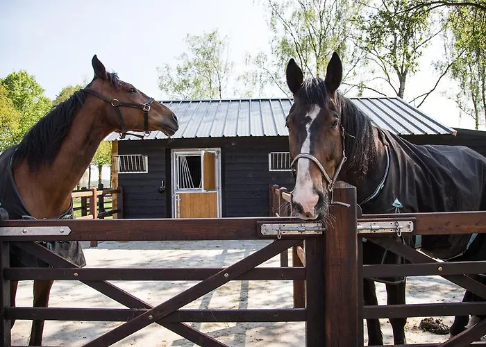 Bed & Breakfast De Verloren Sinjoor Bladel