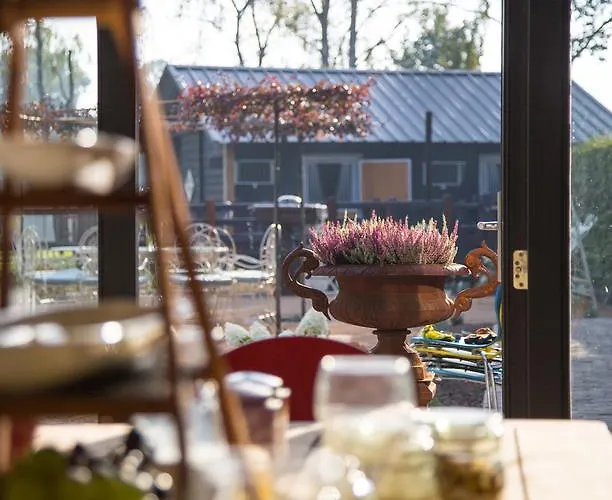 De Verloren Sinjoor 4*