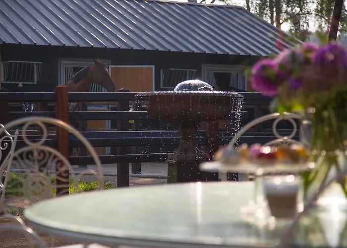 De Verloren Sinjoor Bladel