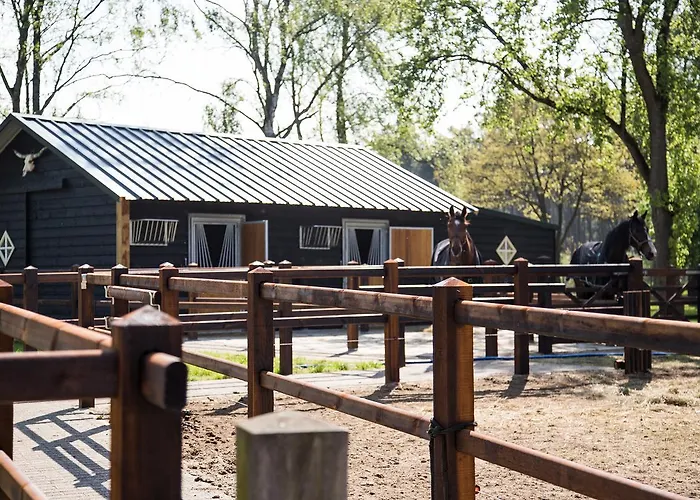 De Verloren Sinjoor Frühstückspension 4*